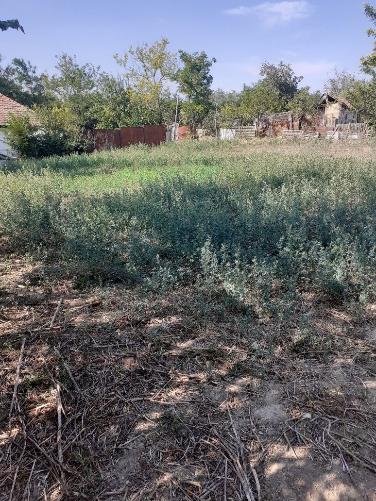 Vand teren intravilan.loc de casa  . 500 mp la 65 km de Bucuresti.