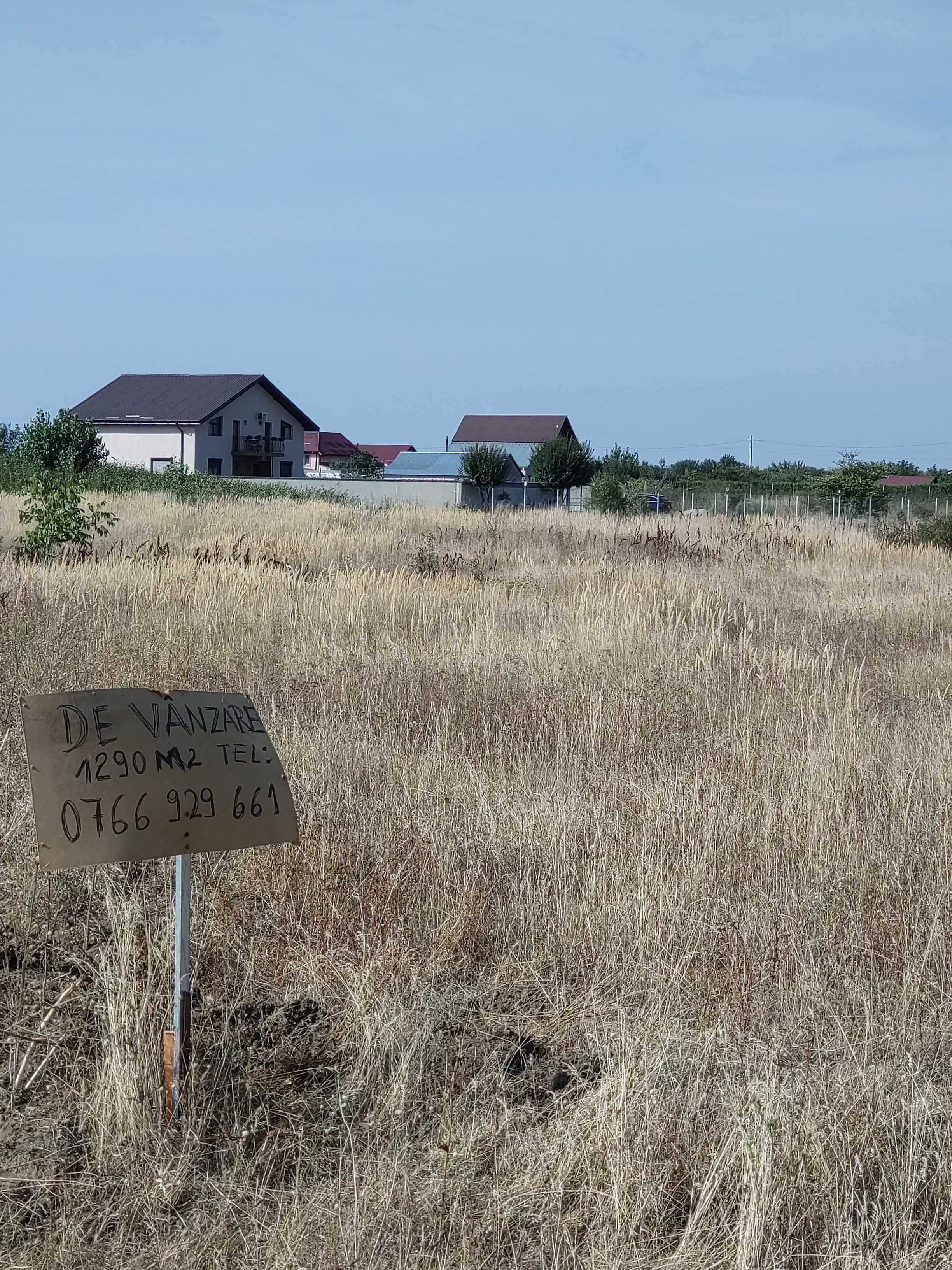 Vând teren  1290 M2 Măgurele Pruni Dumitrana (Bragadiru)str Romaniței