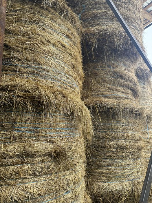 Vand baloti rotunzi 150x150 de lucerna coasa 1, coasa 2 sau amestec