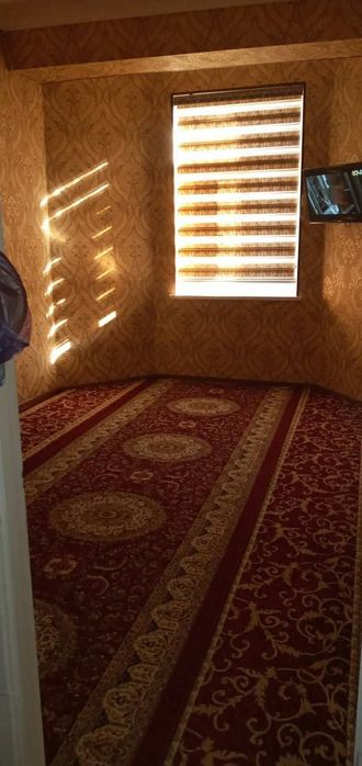 Povorot ped institute