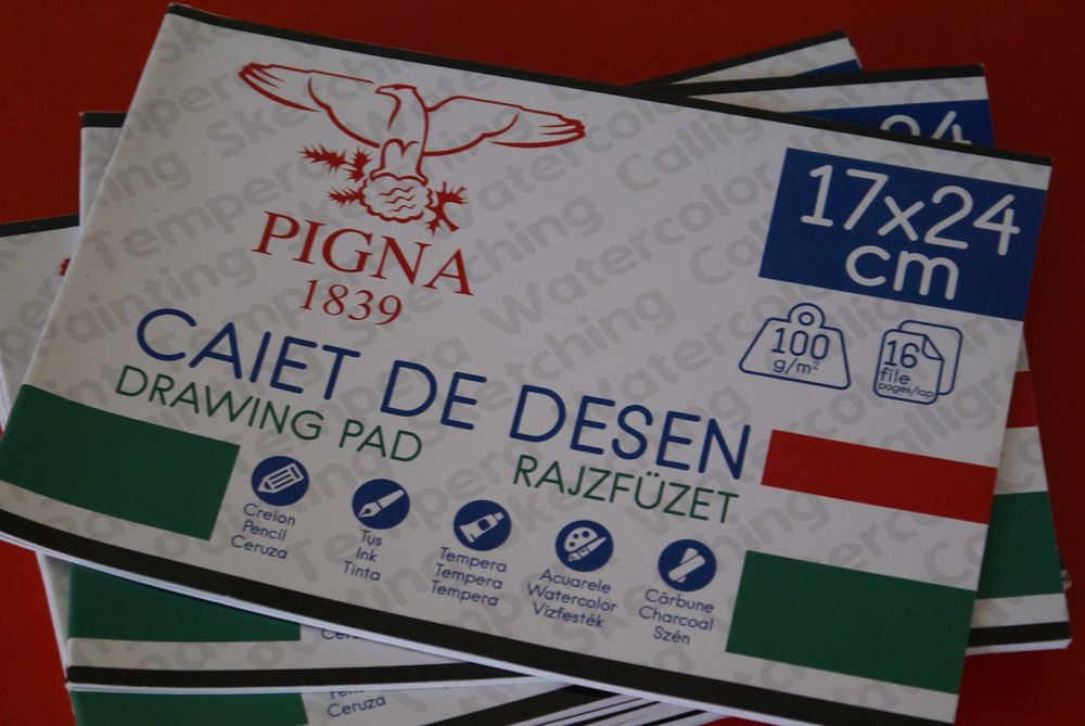 Acuarele, pensule, bloc de desen, creioane colorate NOI