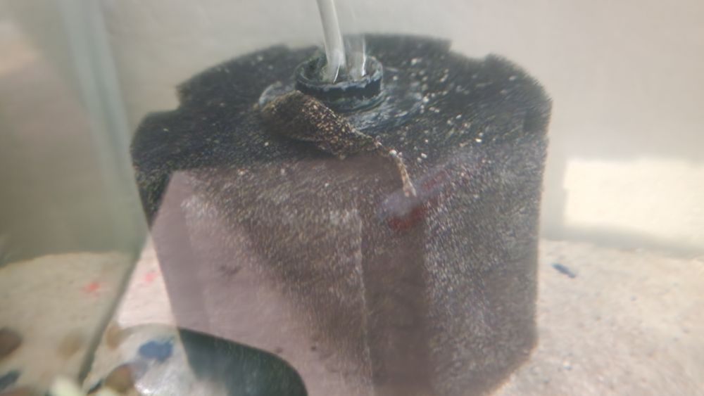 Acvariu 30L,dau si cei 2 pesti sanitari(de geam si nisip)mancare,nisip