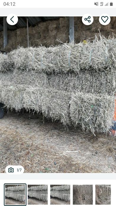 Baloți lucernă cal.1 preț.30 lei greutate 30-35 kg.caoasa a 3-4.