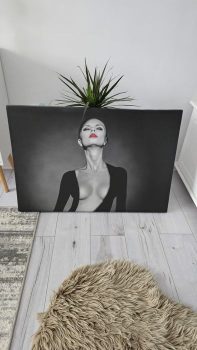 Tablouri Canvas stare perfecta!