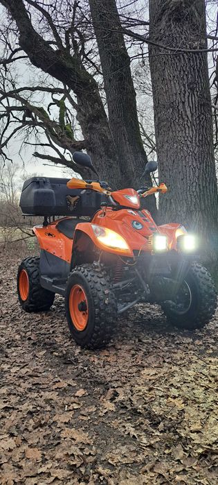 ATV E TON 300CC ..