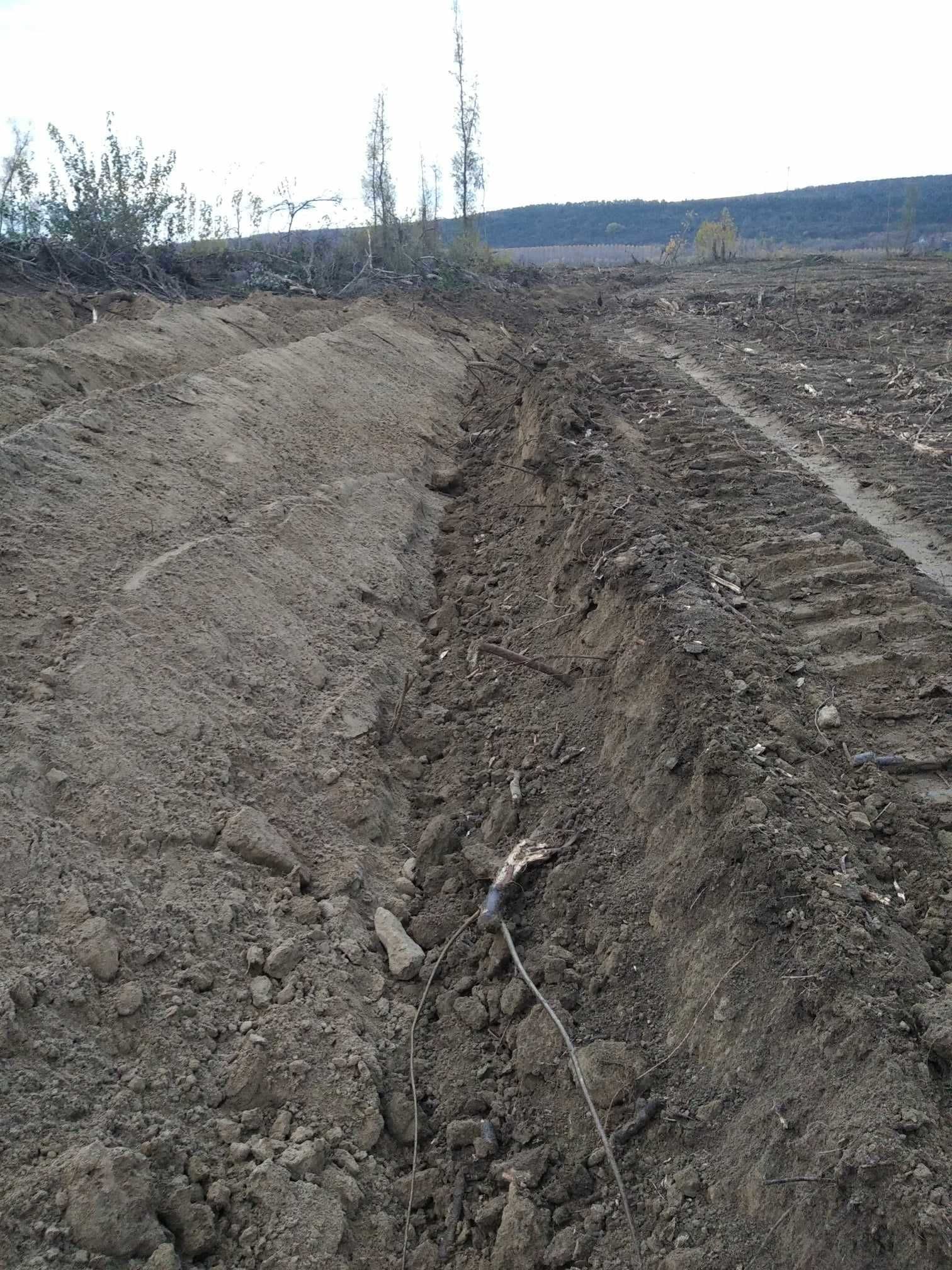 Почистване на парцели, раздробяване на клони, риголване