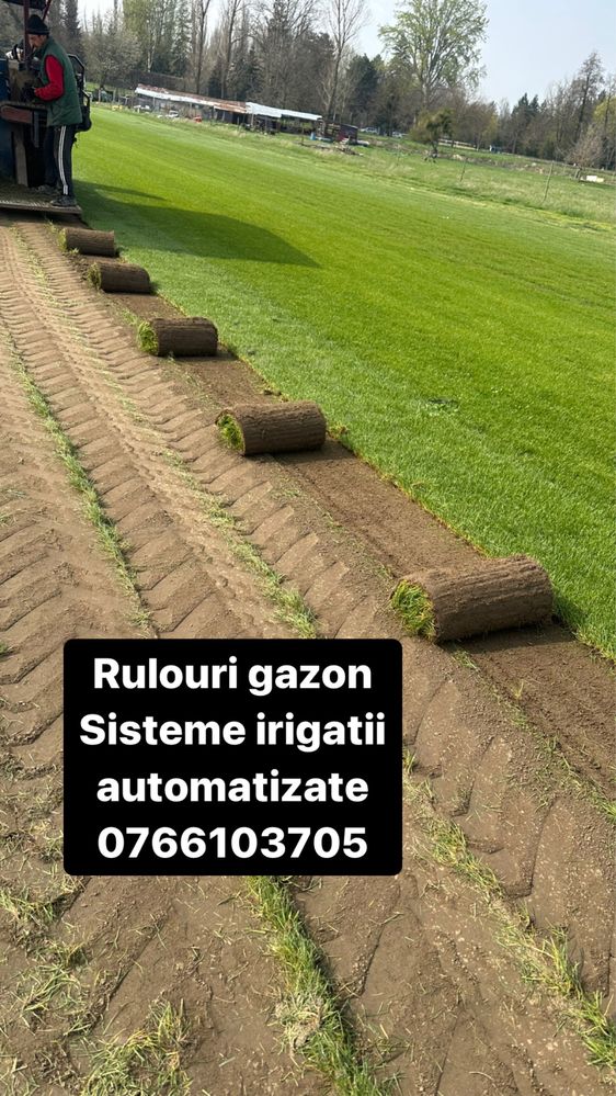 Gazon calitate / insamnatare gazon / rulouri gazon / irigatii/ montaj