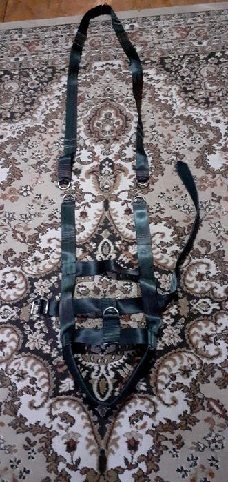 Ham antrenament pt caini