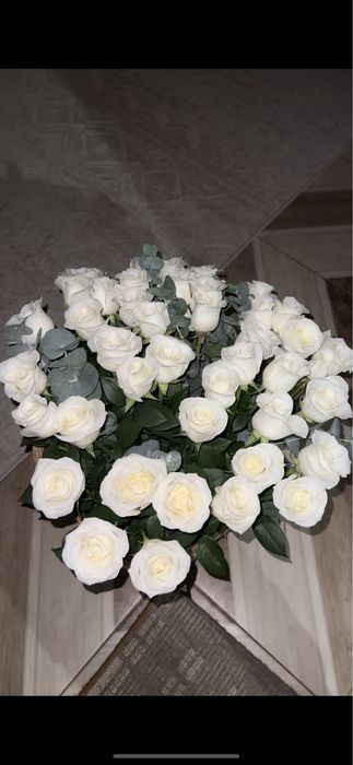 Роза 41 штук свежий