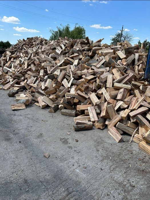 RDUCERE 10% lemne de foc fag uscat