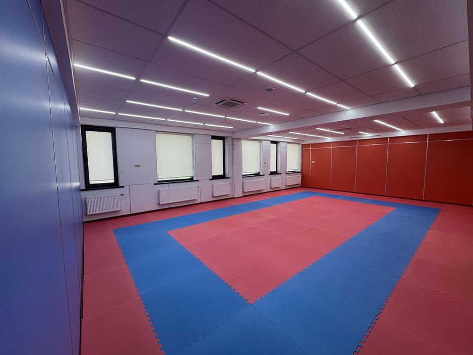 Tatami Dayan ORIGINAL BUDO MAT спортивный мат будо мат пазл татами