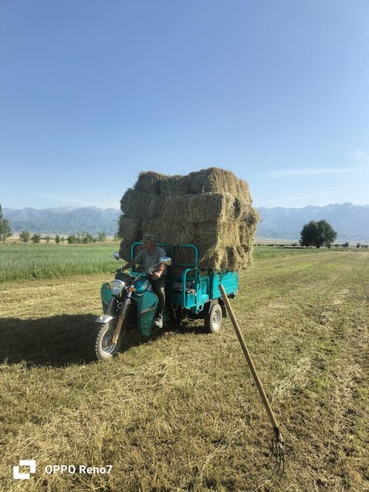 Трицикл самосвал 1.5 тонна