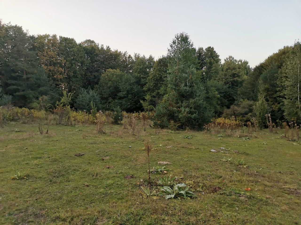 Продава се Парцел в Разлог - 300 кв.м за 30 €/кв.м - Снимка #1