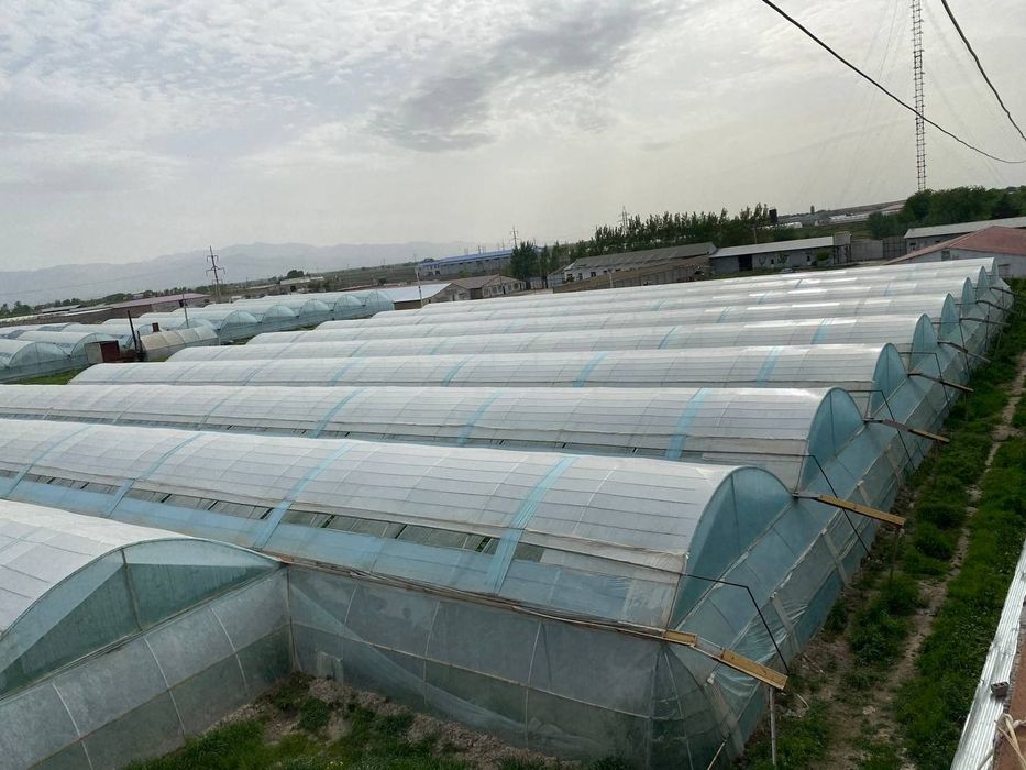 Ишлаб чикариш нотурар 1,1 гектар срочно кадвстри билан  Супер  томонда