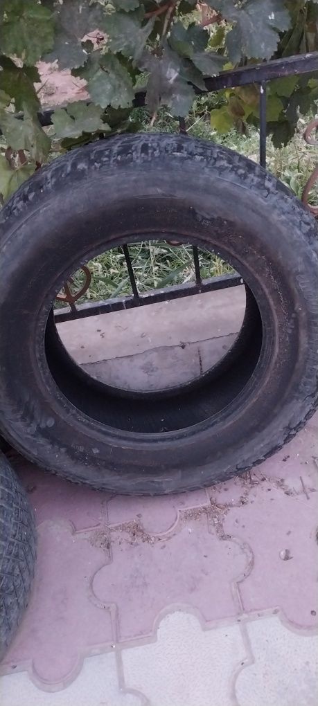 Зимни балондар бар