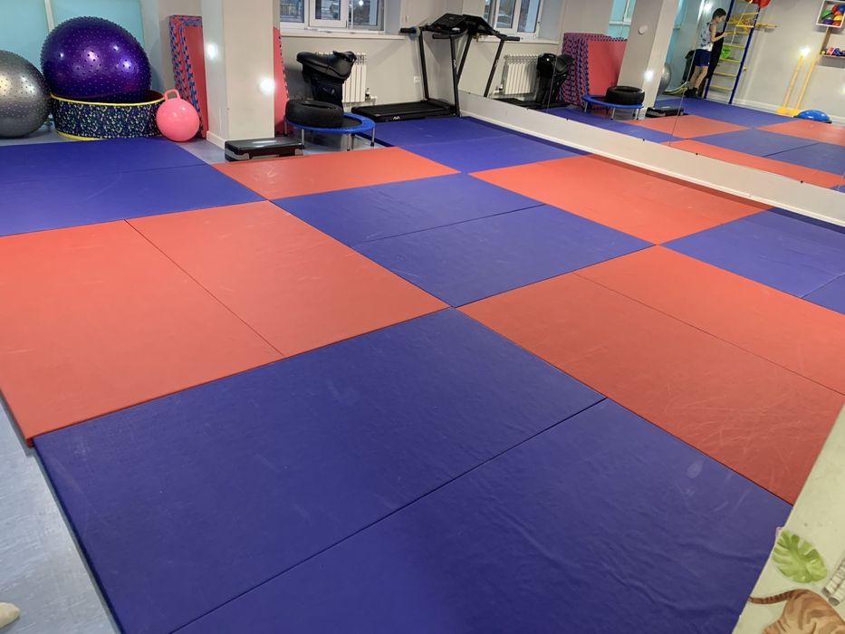 Татами маты даянг в отличном состоянии