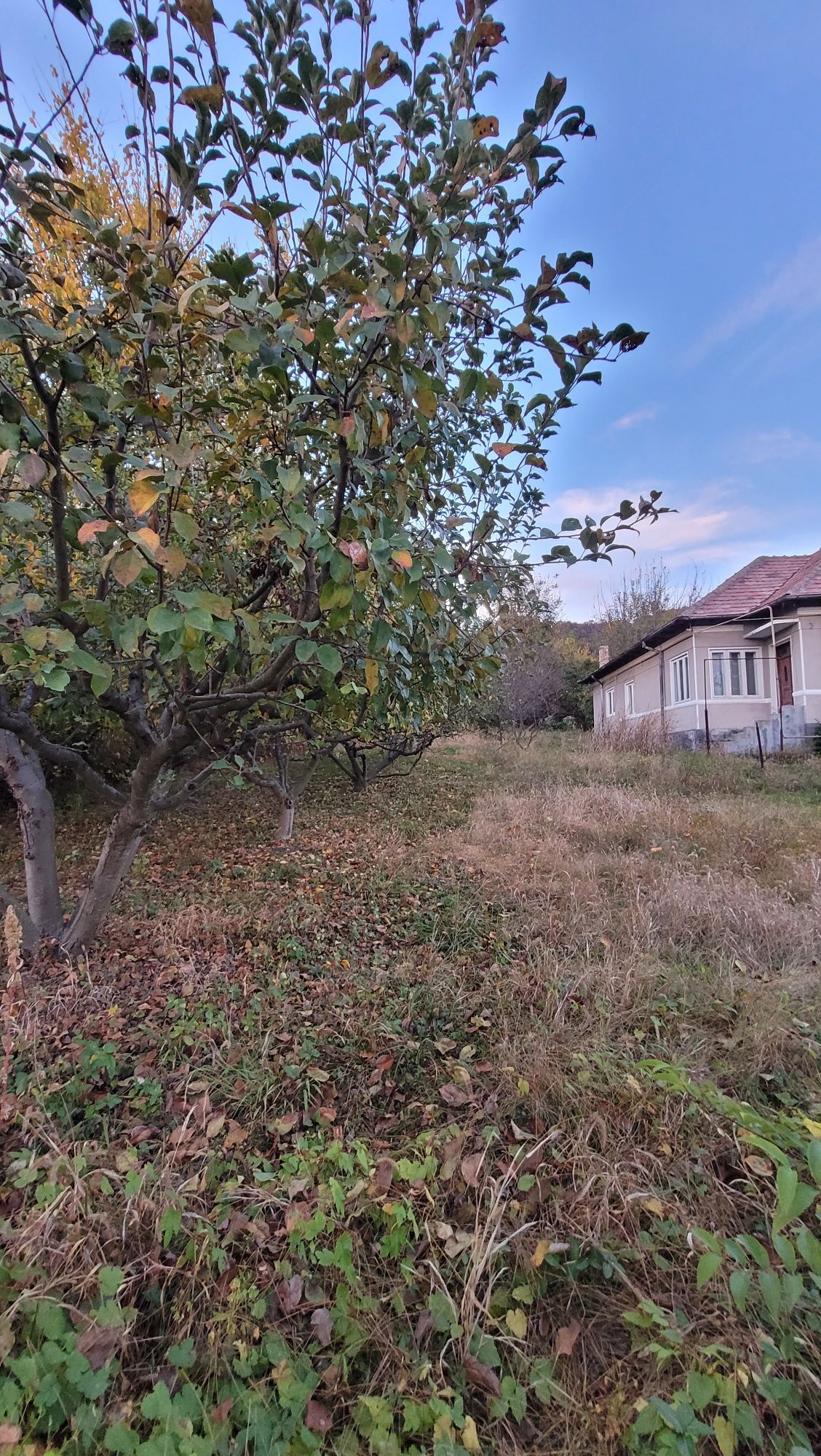 Casa + teren 1200mp • zona Troianu/Copacelu • Ramnicu Valcea