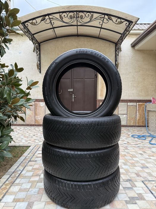 Imperial balon byd champion