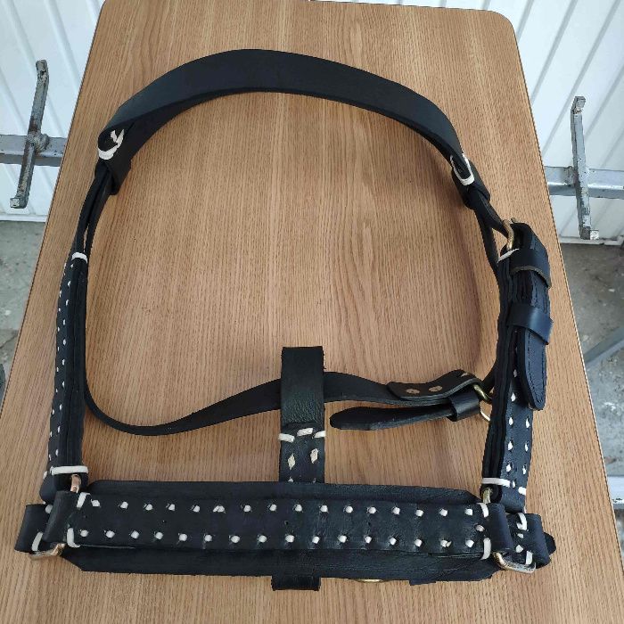 capastru ECVIDEE/BOVINE | art. premium, lucrat din piele ⟣GARANTIE ⁴⁸