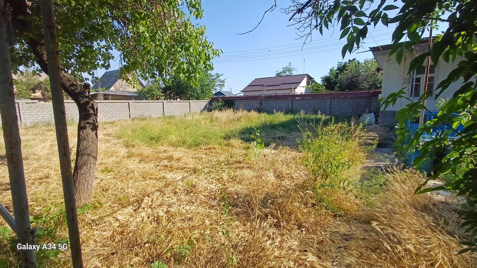 Dacha.dala hovli