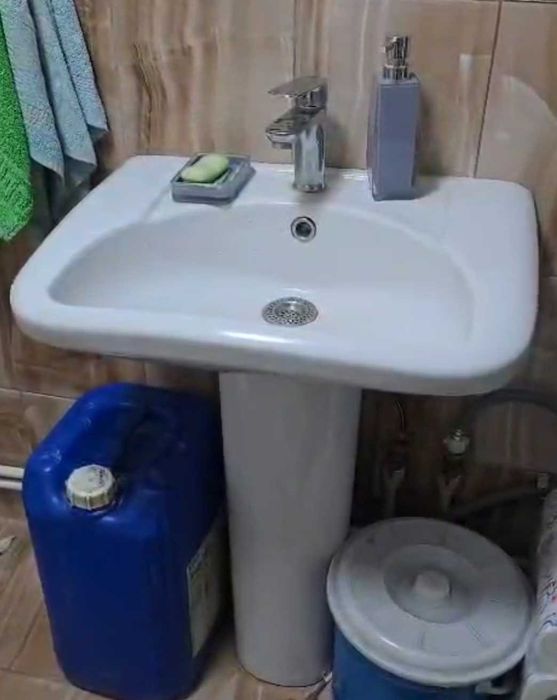 Раковина тюльпан