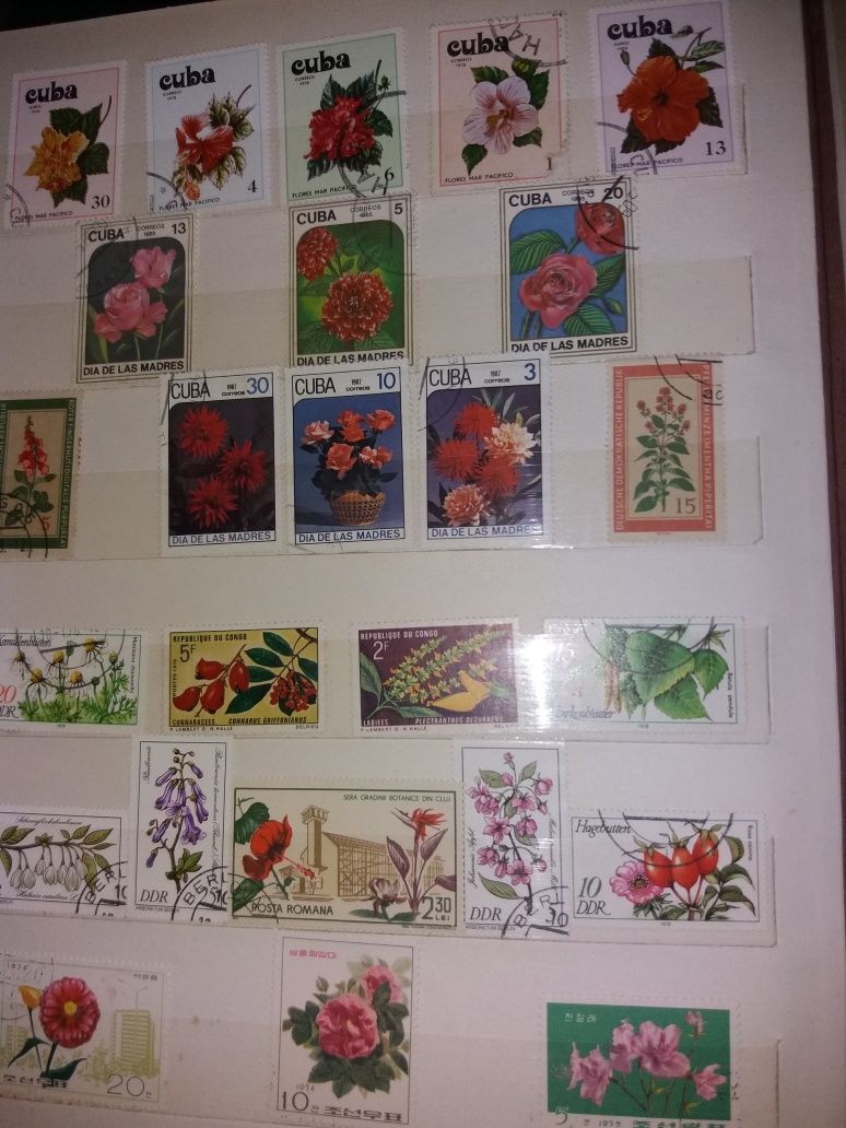 Clasoare cu timbre valoroase