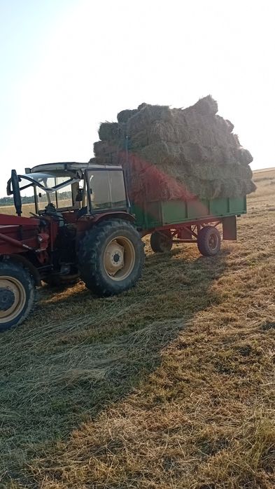 Baloti de fan,otava si lucerna!!!