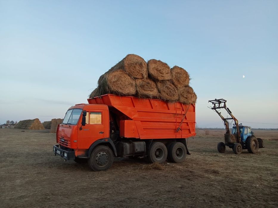 продаю сено лугавое есть доставка на КамАЗ берет 20 рулонов оплата за