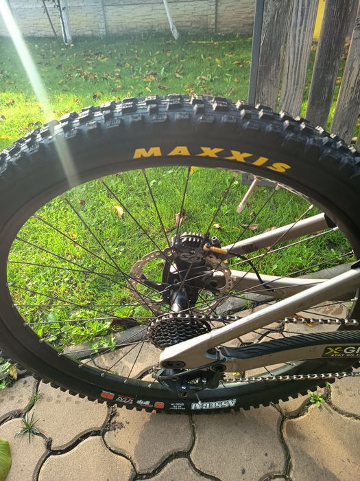 Schott gambler dowhil