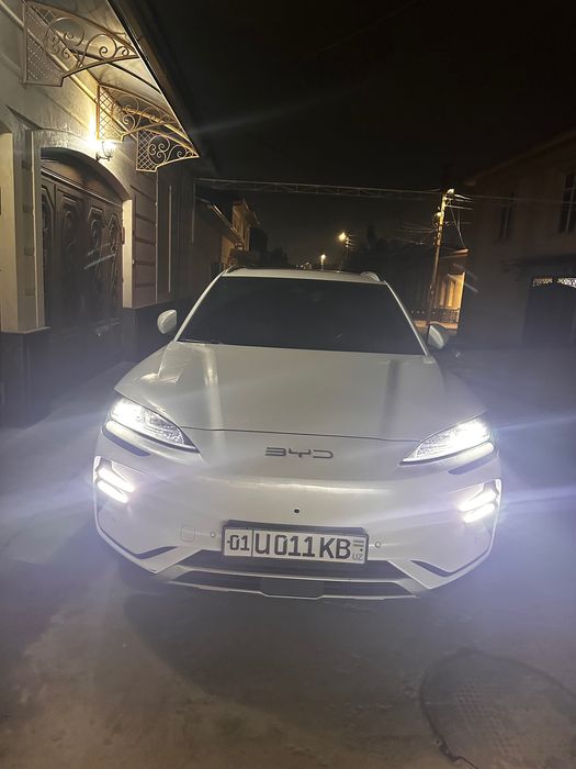 Byd chempion HONOR 605