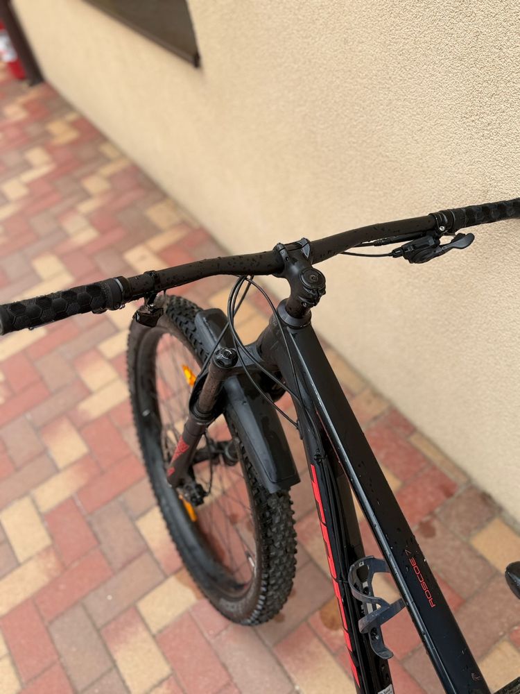 Bicicleta Roscoe 7