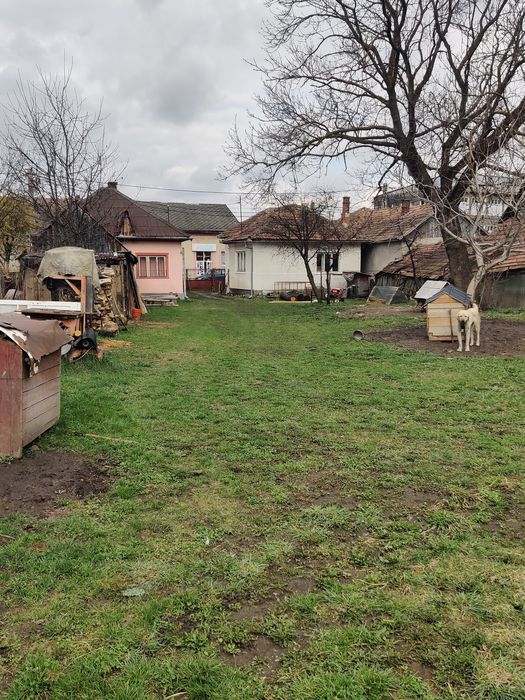 Vand case care au curte comuna