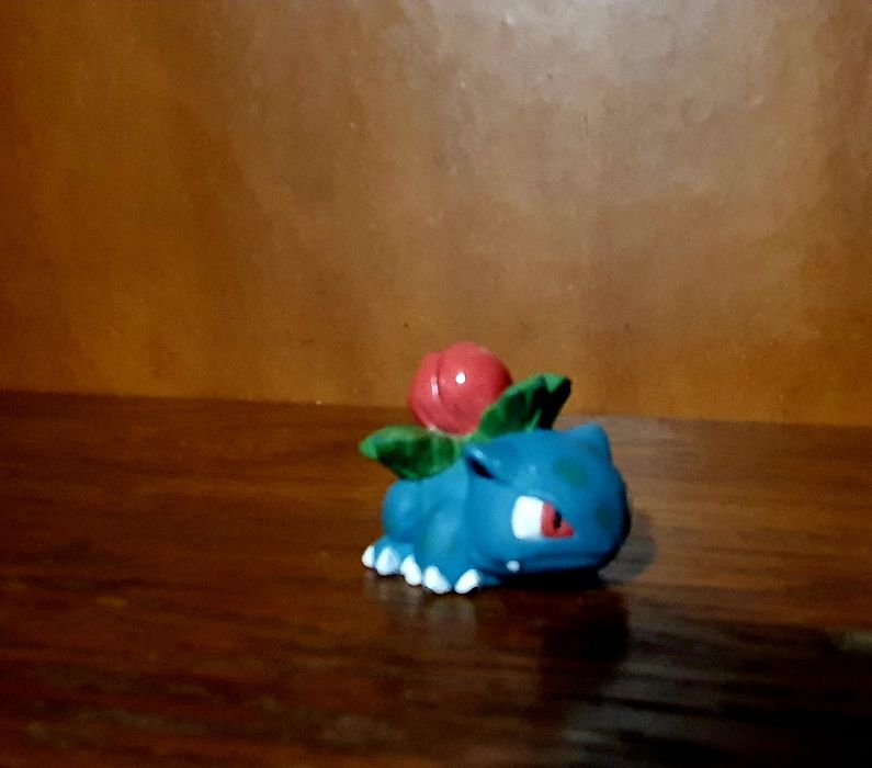 Pokemon Ivysaut & Mega Venusaur