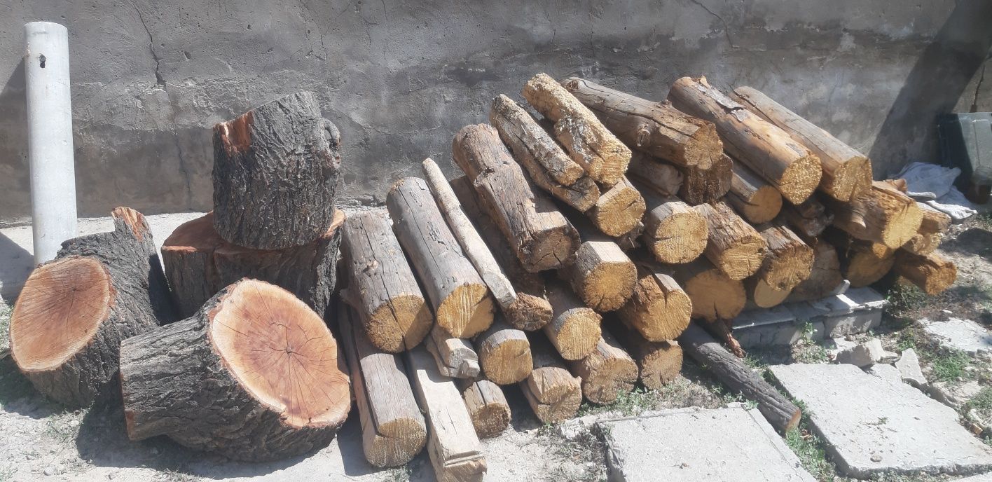 O'rik sifatli o'tinlar quruq 30,35 sm yorilgan dastafka bor labo