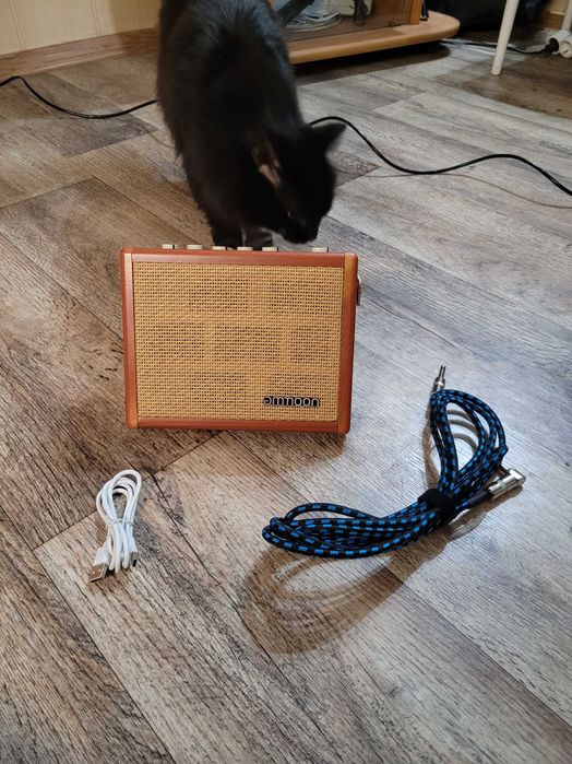 Портативный усилитель (комбик) для акустической гитары и микрофона