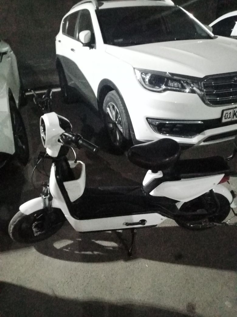 Yahshi oq skutr25cm
