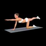 Спортивный коврик
Yamaguchi Fit Mat
Профессиональный коврик by Japan