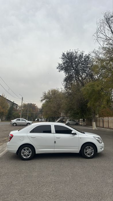 Cobalt GX-Style 2024 tozza