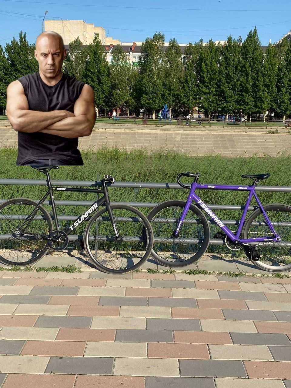 Fixed Gear Tsunami snm100, Рама-L size(55)