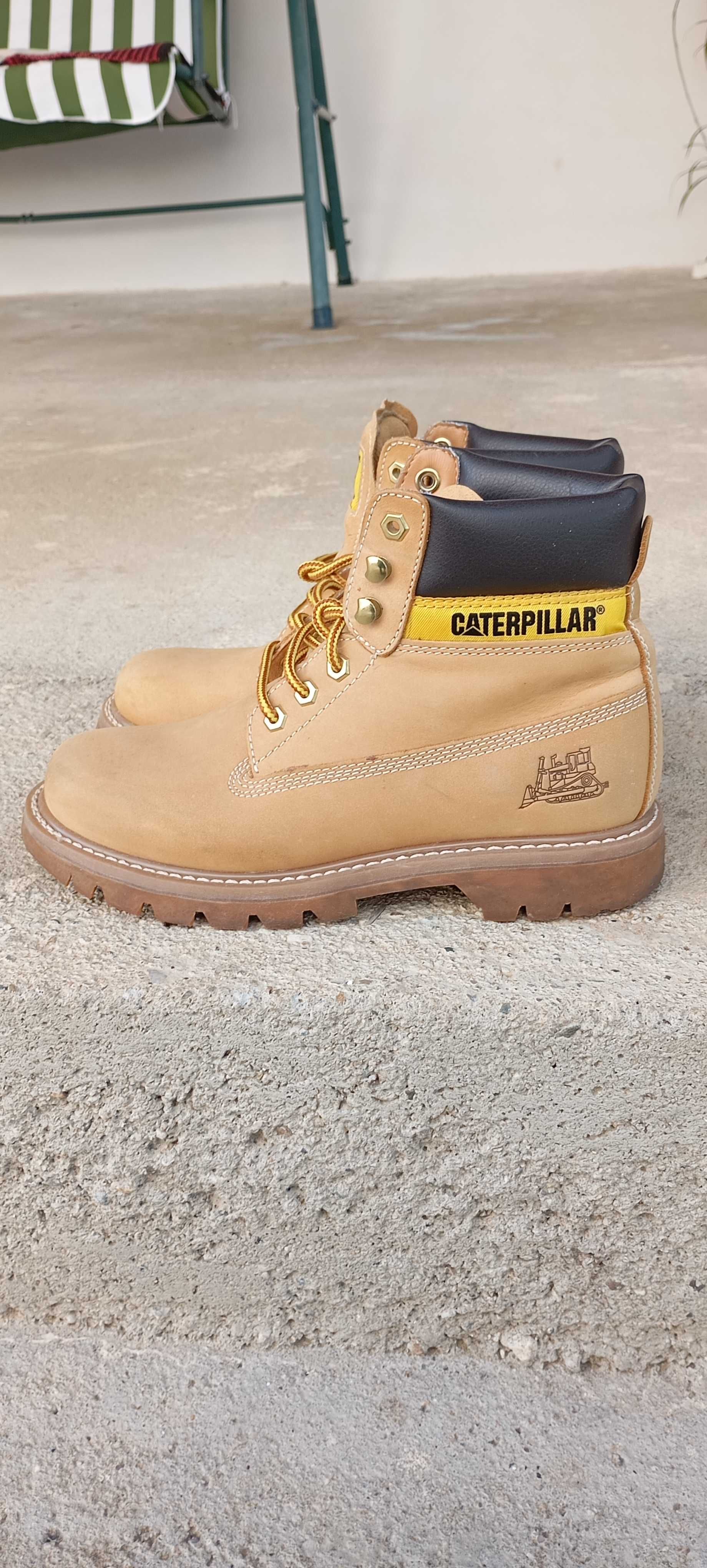 Caterpillar colorado