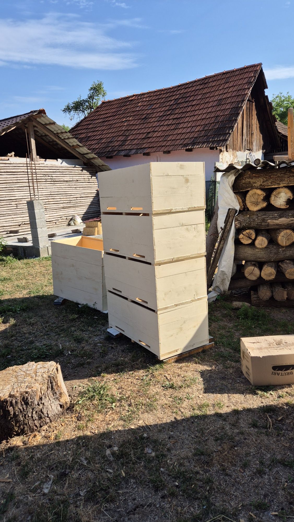 Vand Lazi albine pe 10 rame  30 bucati