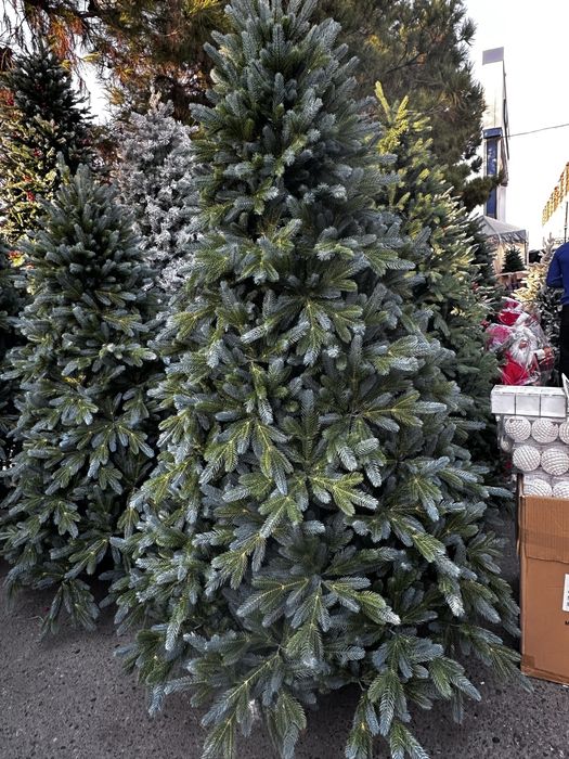 Ёлки ветки и гирлянди