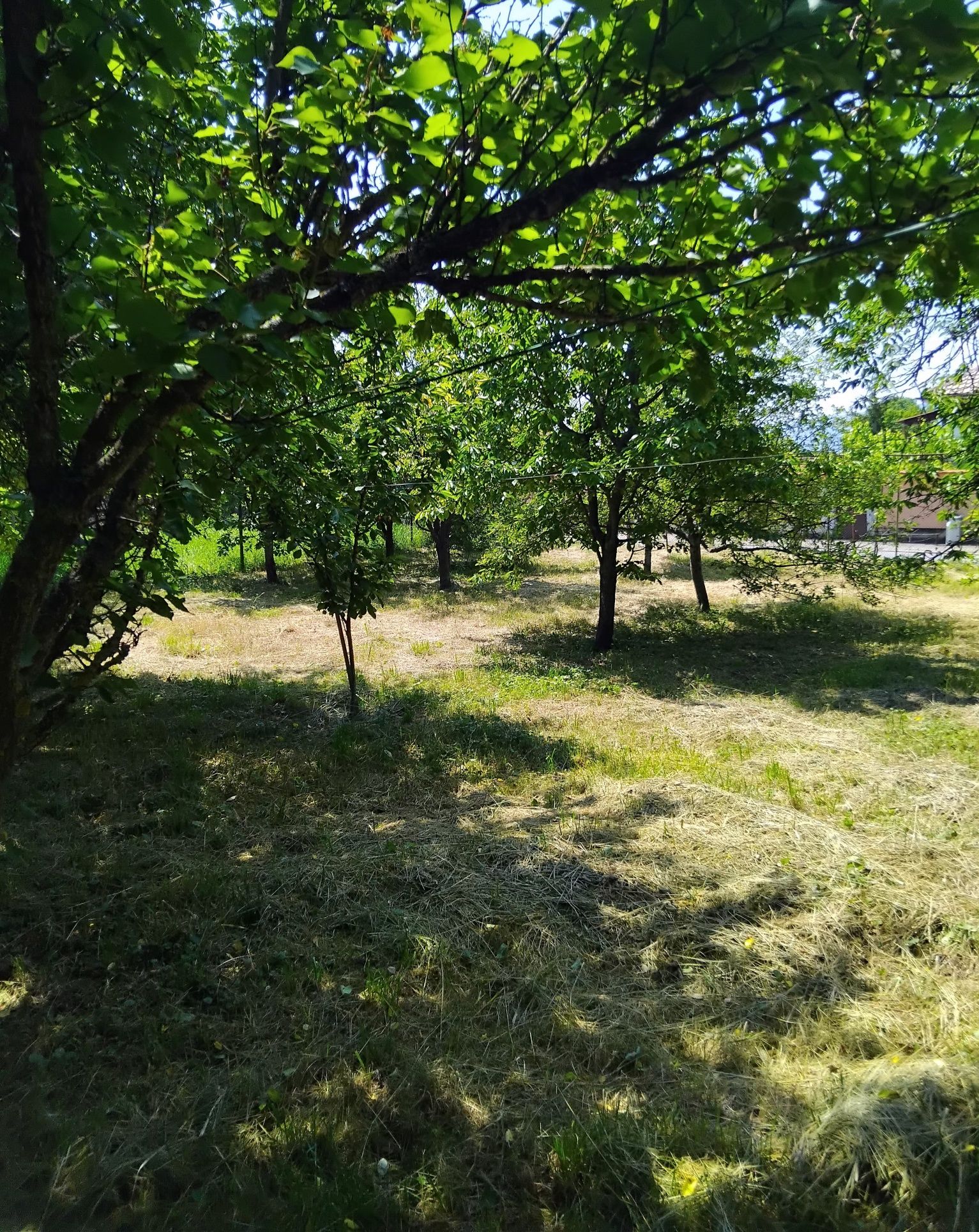 Продава къща в с.Горна Гращица общ.Кюстендил