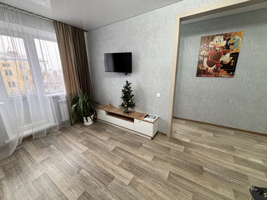 Уютная однокомнатная квартира  в центре на 2-44