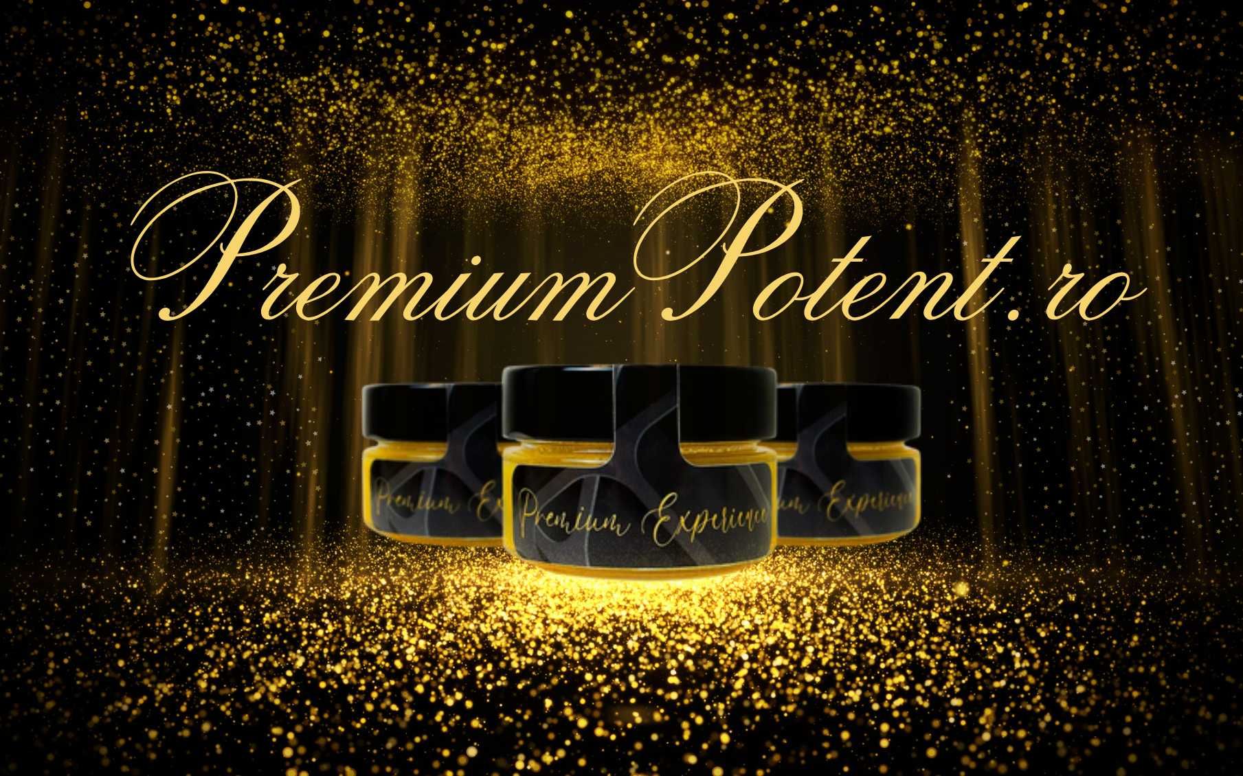 PREMIUM POTENT l Potenta 100%