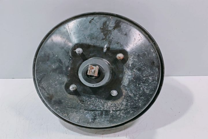 Tulumba servofrana 0204024824 Citroen Berlingo prima generatie (facel