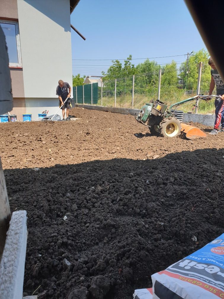 Nivelare indreptare Teren Bobcat Miniexcavator Compactor