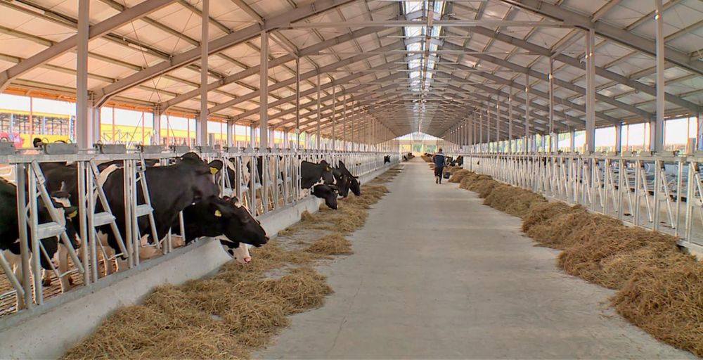 Продается новый Ферма в Бухаре