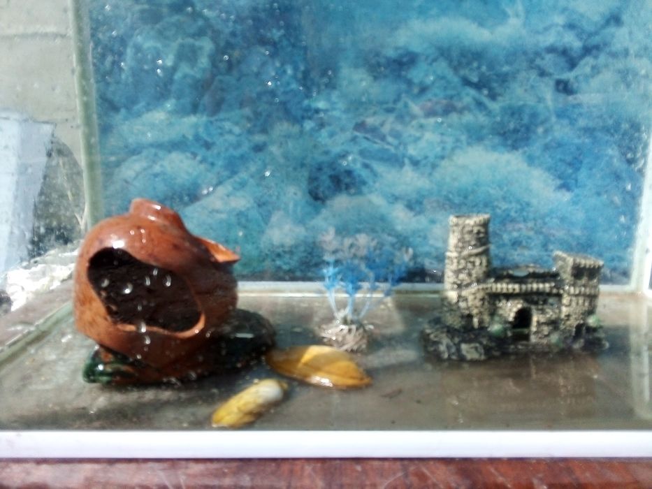 Продается аквариум