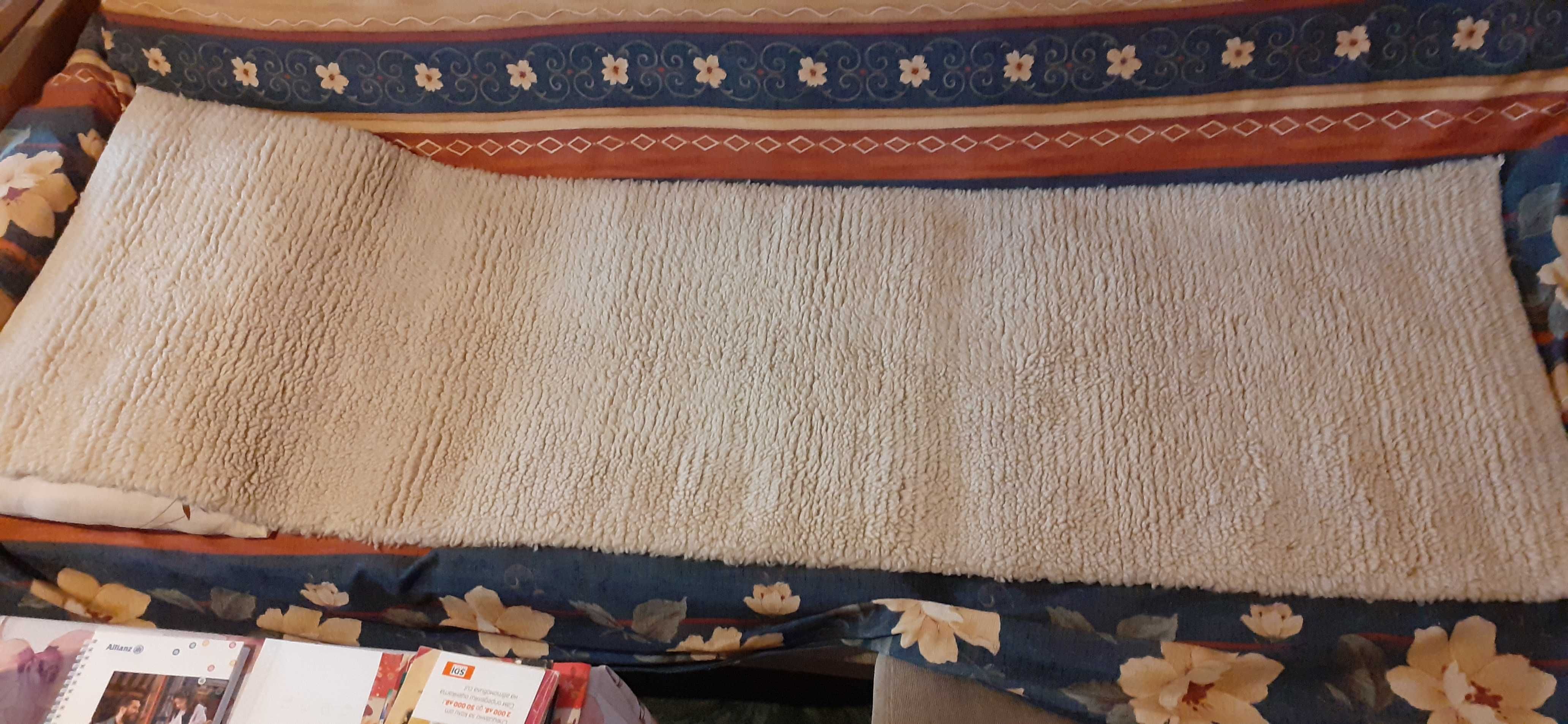 Родопски китеници